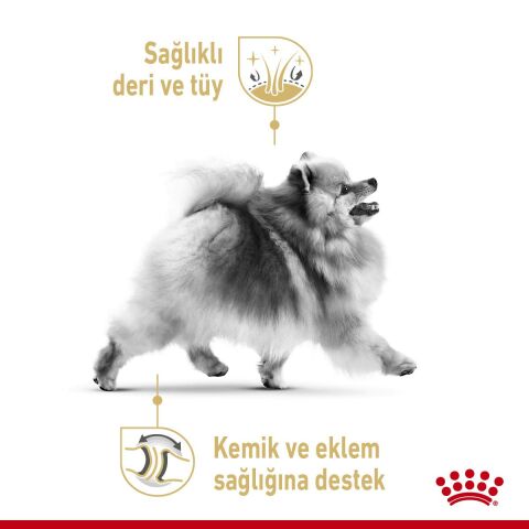 Royal Canin Pomeranian Yetişkin Köpek Maması 3kg