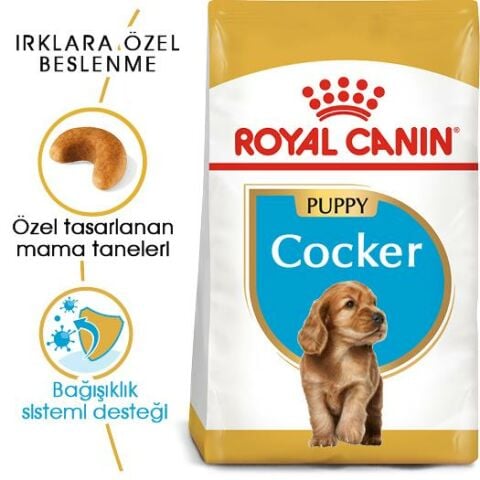 Royal Canin Puppy Cocker  Yavru Köpek Maması 3 Kg