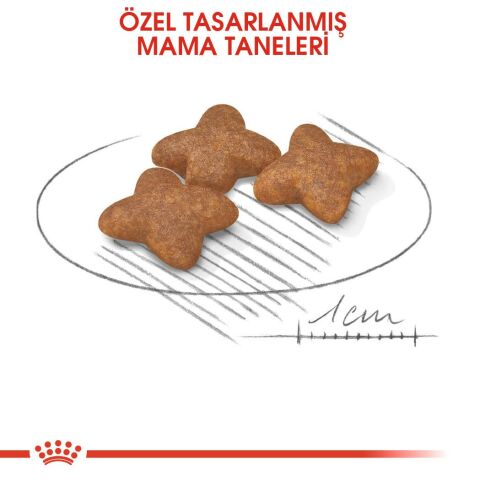 Royal Canin Mini Adult Küçük Irk Yetişkin Köpek  Maması 8 Kg