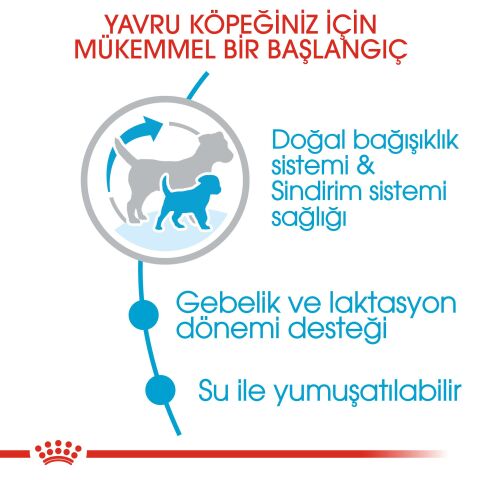 Royal Canin Mini Starter Mother&Babydog Yavru Köpek Maması 3 Kg