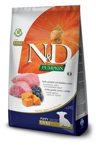 N&D Pumpkin Bal Kabaklı Kuzulu Yaban Mersinli  Küçük Irk Tahılsız Yavru Köpek Maması 2,5 Kg