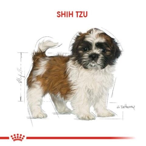 Royal Canin Puppy Shih Tzu Yavru Köpek Maması  1,5 Kg