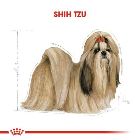 Royal Canin Adult Shih Tzu Yetişkin Köpek Maması  1,5 Kg