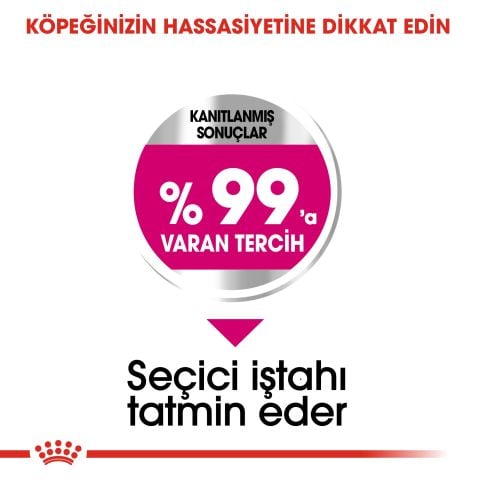 Royal Canin Exigent Mini Yetişkin Köpek Maması 3Kg