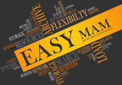 Easy Mam Bilgi ve Belge Yönetim Sistemi