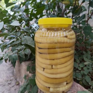 ACUR TURŞUSU