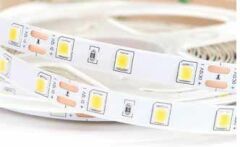 İnoled Mavi İç Mekan Şerit Led 12v SMD 4040 Led 4324-05