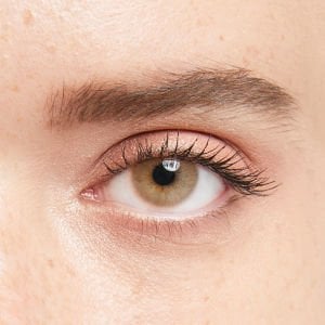 Iconıc 3 Aylık Haresiz Lens BRONZE