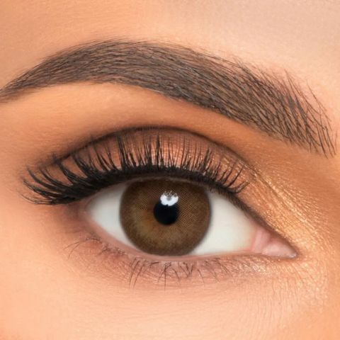 Nk 6 Aylık Renkli Lens LİO BROWN