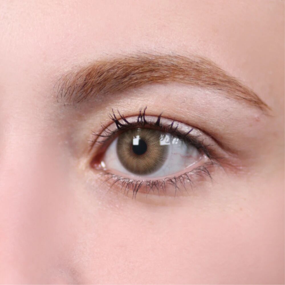La Rena Premium 1 Yıllık Lens İKONİA BROWN