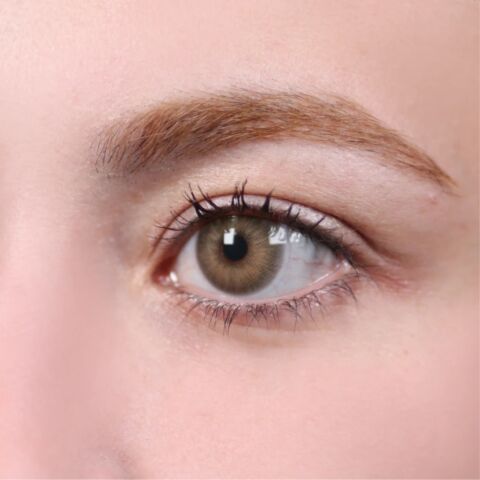 La Rena Premium 1 Yıllık Lens İKONİA BROWN