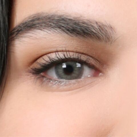 La Rena Premium 1 Yıllık Lens İKONİA GRAY