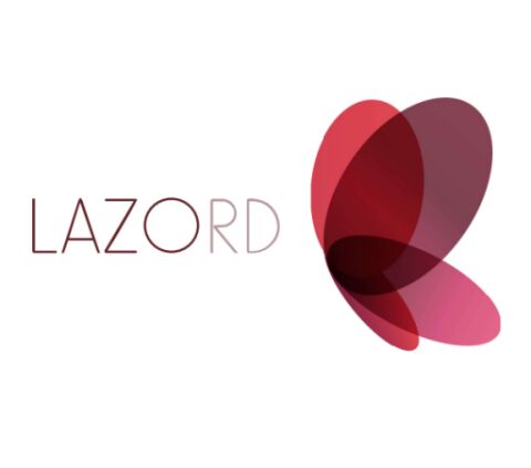 Lazord Pure 6 Aylık Lens