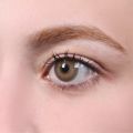 La Rena 1 Yıllık Lens İKONİA BROWN