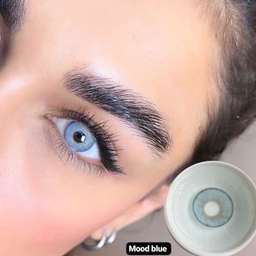 Lezza 6 Aylık Lens