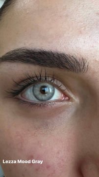 Lezza 6 Aylık Lens Mood Gray