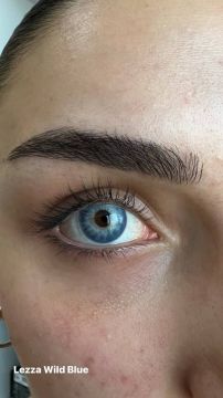 Lezza 1 Yıllık Lens Wild Blue