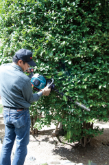 MAKITA EH6000W BENZİNLİ ÇİT BUDAMA MAKİNASI