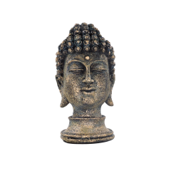 Tombul Buda Dokulu Büst