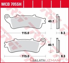 Honda CBR 1100 XX Blackbird (1998->2008) Arka Sinter Fren Balatasi TRW MCB705SH*