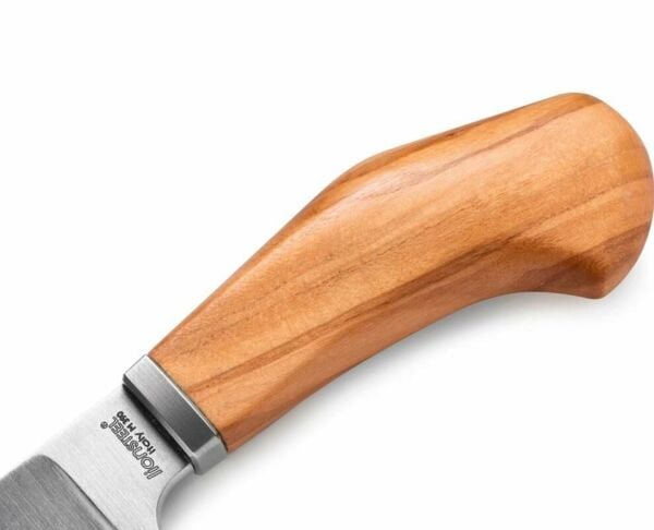 Lionsteel Willy Olive Wood Bıçak