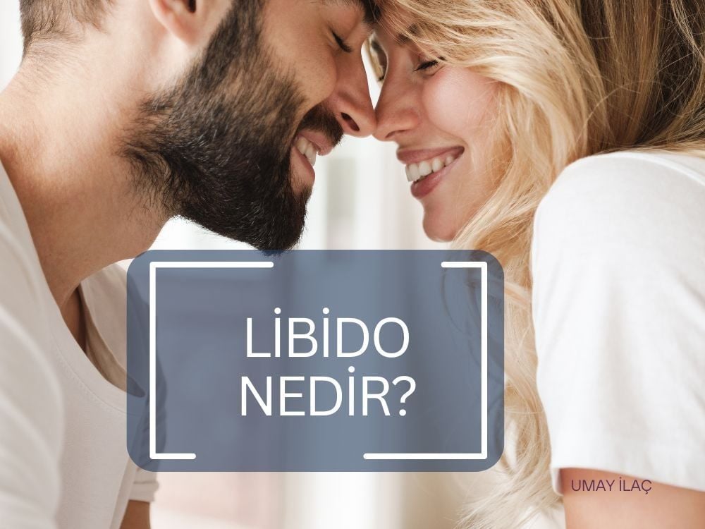 Libido Nedir? Nasıl Yükselir? Libido Arttırıcı İlaçlar
