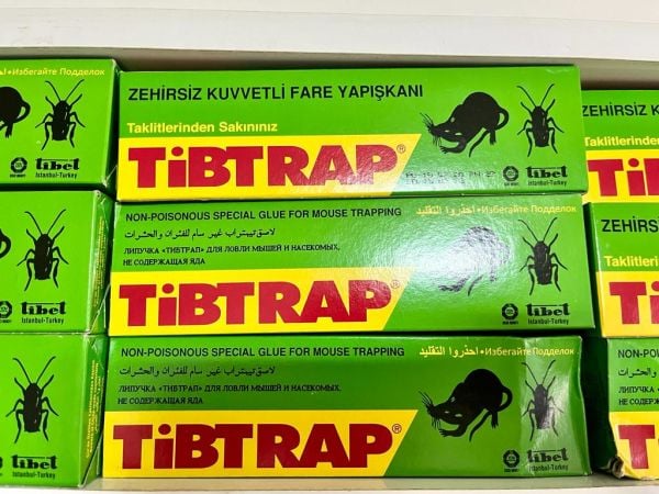 TİBTRAP FARE HAŞERE YAPIŞKANI