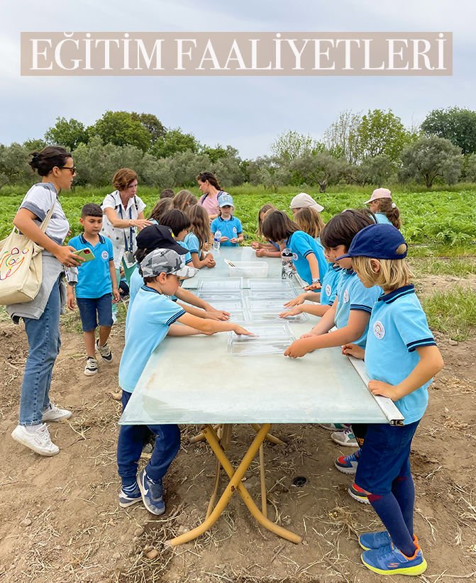 EĞİTİM FAALİYETLERİ