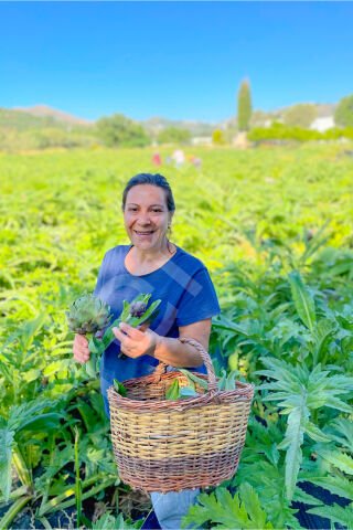 Organik Enginar Konservesi Mezelik, Yemeklik, Salatalar için Kullanıma Hazır 660 cc