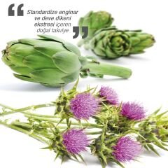 Dinamis Standardized Extract Artichoke Milk Thistle 60 Kapsül