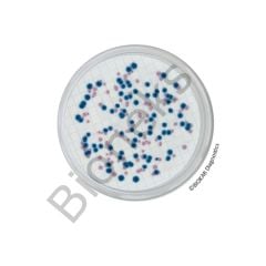Chromogenic Coliform Agar (CCA) 20 Petri plates Ø 55 mm