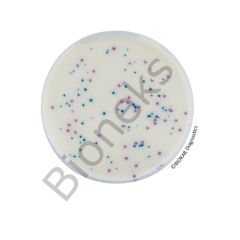 IRIS Salmonella® Agar (RTU)	20 Petri plates Ø 90 mm