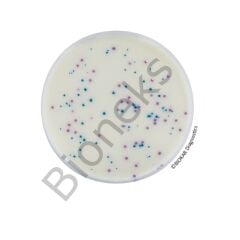 IRIS Salmonella® Agar (RTU) 120 Petri plates Ø 90 mm