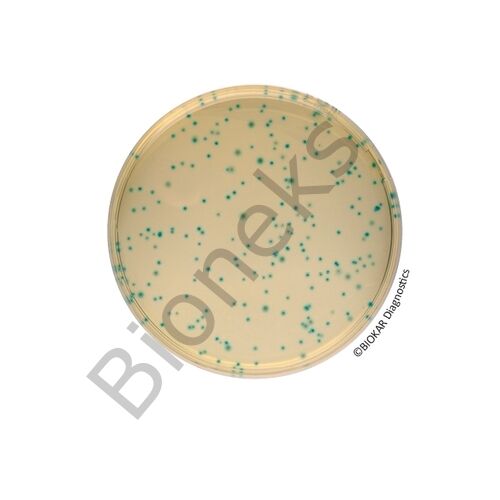 COMPASS® Bacillus Cereus Agar 	20 Petri plates Ø 90 mm