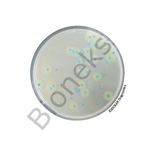 COMPASS® Listeria Agar (RTU) 120 petri x 90 mm
