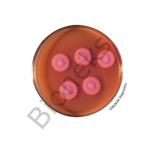 Bacillus Cereus Agar (ACC. TO MOSSEL) 120 Petri plates Ø 90 mm