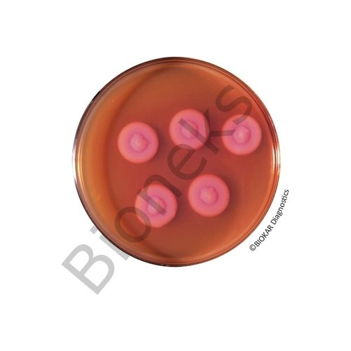 Bacillus Cereus Agar (ACC. TO MOSSEL) 20 Petri plates Ø 90 mm