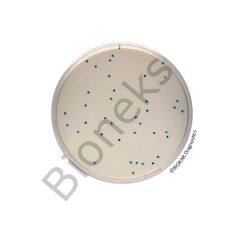 COMPASS® Enterococcus Agar 20 Petri plates Ø 55 mm
