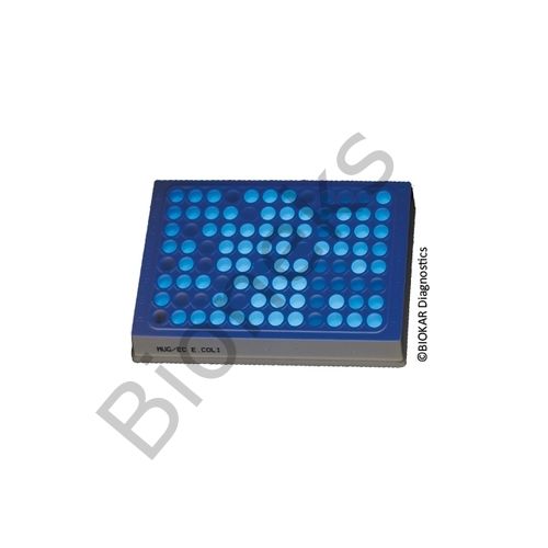 Microplate MUD/SF 25 microplates + 25 sterile transparent adhesive covers