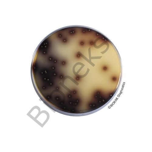 Oxford Agar 500g