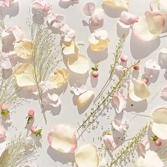 Royal Muska Nectar 30 ml