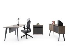 Efeler Ofis Eco Çalışma Masası Takımı