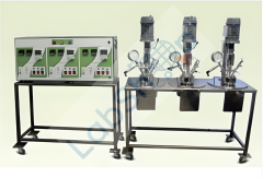 Nanomag Yüksek Basınçlı Laboratuvar Otoklavları / Karıştırmalı Reaktörler 1000 serisi 400 ml