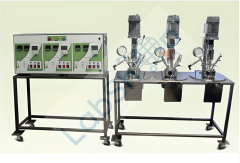 Nanomag Yüksek Basınçlı Laboratuvar Otoklavları / Karıştırmalı Reaktörler 1000 serisi 750 ml