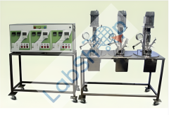 Nanomag Yüksek Basınçlı Laboratuvar Otoklavları / Karıştırmalı Reaktörler 2000 serisi 1000 ml