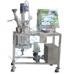 Nanomag Yüksek Basınçlı Laboratuvar Otoklavları / Karıştırmalı Reaktörler 2000 serisi 2 litre