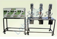 Nanomag Yüksek Basınçlı Laboratuvar Otoklavları / Karıştırmalı Reaktörler 2000 serisi 2 litre