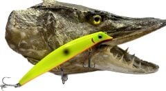 MİBBY FİSHİNG HUNTER 125 F