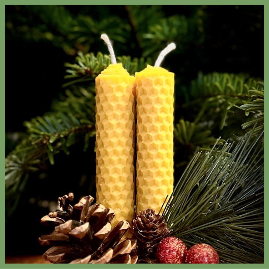 2’li Sarma Bal Mumu - 10cm