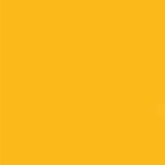 Gdx Seyyar Kağıt Sonsuz Stüdyo Fon Perde (Deep Yellow) 2.70x11 Metre